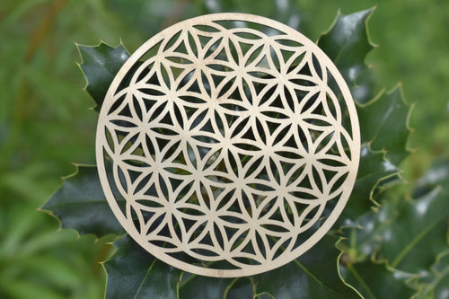 Fleur de vie pour recharger les pierres